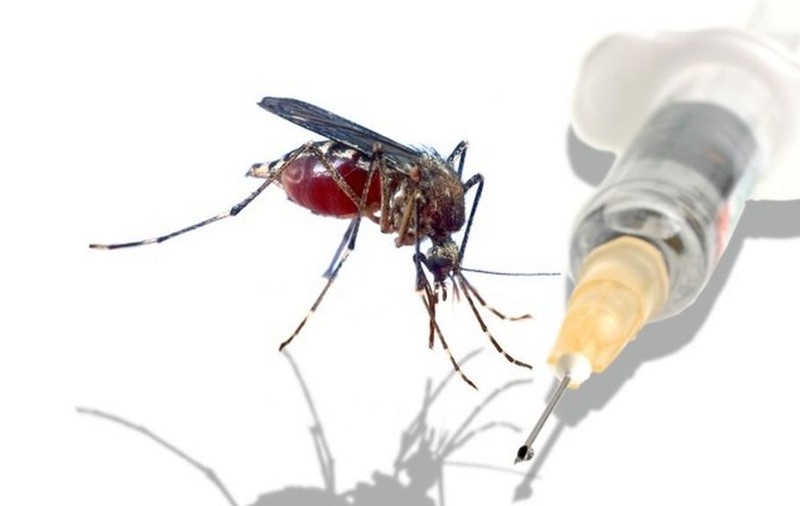 Insectele ne pot vindeca de cancer. Află cum!