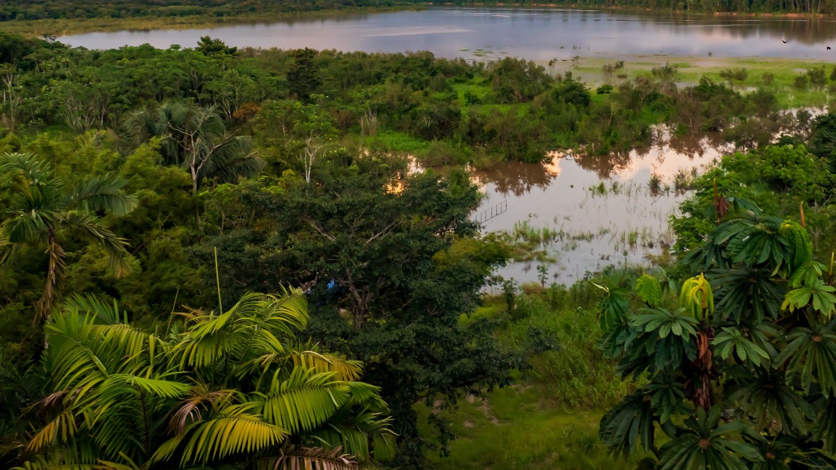 Apus de soare pe râul Javari, afluent al râului Amazon, Amazonia.