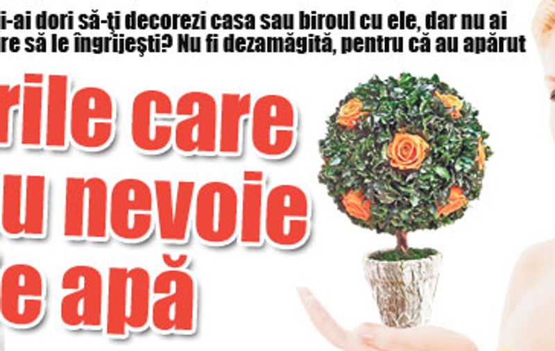 Florile care nu au nevoie de apă