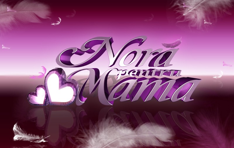 „Noră pentru mama" îşi desemnează câştigătorii!