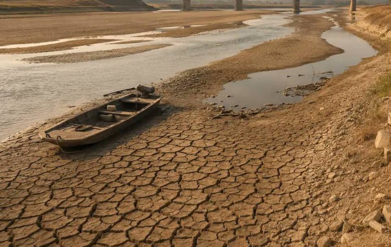 Apele din Italia „fierb” la 32°C: 100 de tone de midii au murit, iar până la 90% dintre scoici au dispărut. Ce se va întâmpla când temperatura Pământului va ajunge la 65°C