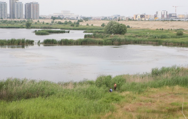 Cros pentru salvarea țestoasei de apă din Parcul Natural Văcărești. Care sunt condițiile de participare