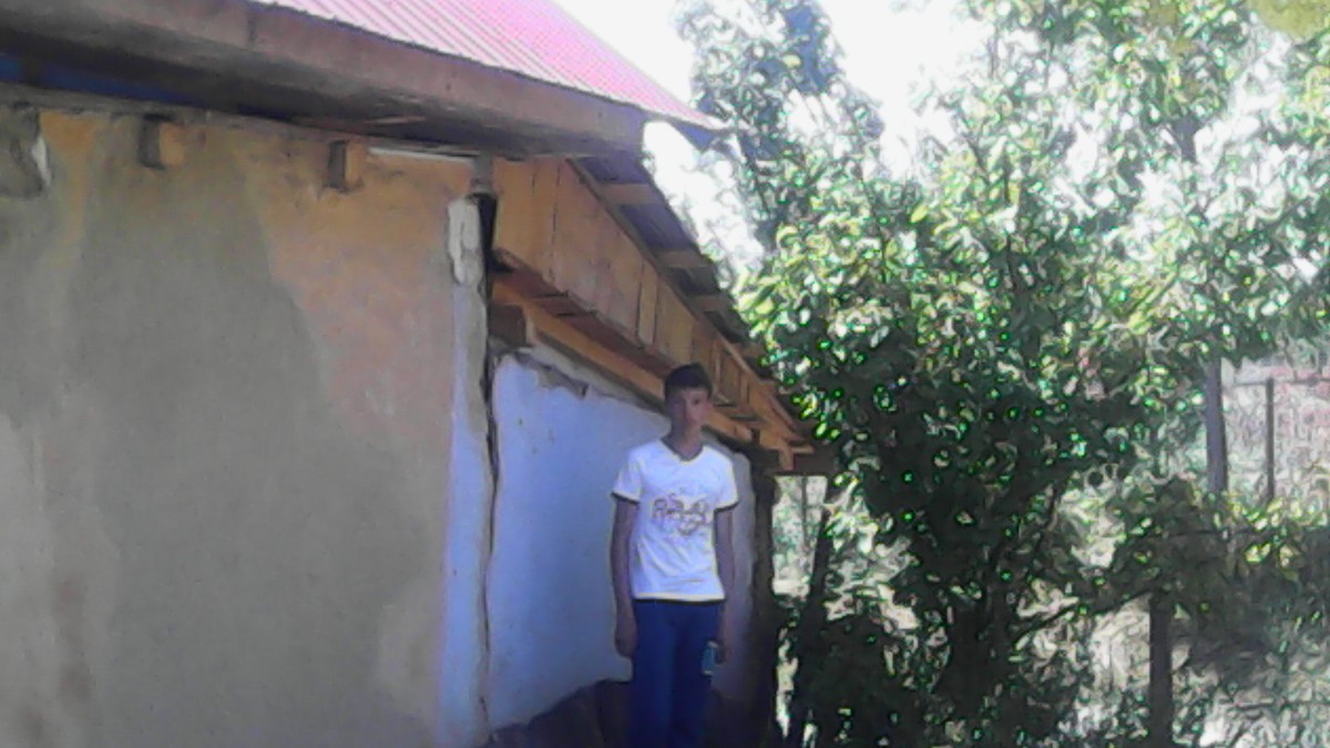 Arhiva foto