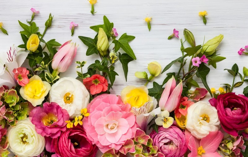 Mesaje de Florii 2025 - Cele mai frumoase urări pentru cei care poartă nume de floare