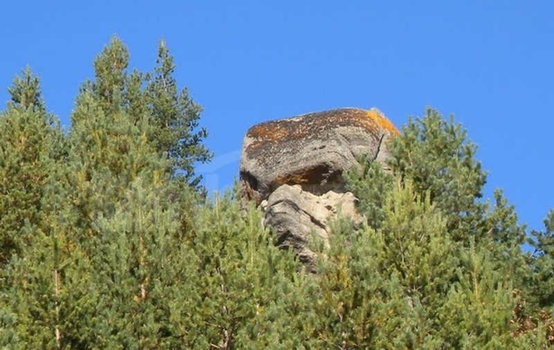 Sfinxul de la Buștea, monument al naturii mai puțin cunoscut. Cum se ajunge la „uriașul” împietrit din Munții Buzăului