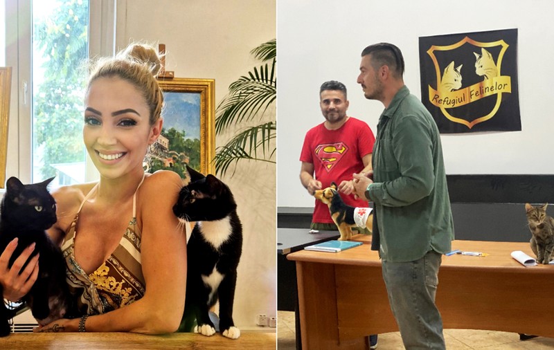 Curs de prim ajutor pentru animale din România. Ce trebuie să știi dacă întâlnești un animal aflat în pericol. Corina Fierbințeanu: „Uneori, cel mai bun ajutor pe care îl poți oferi este să știi ce să nu faci” 