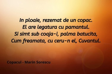 Copacul de Marin Sorescu