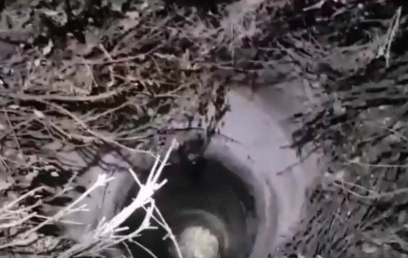 O adolescentă care a căzut într-o fântână din Caracal a fost salvată de pompieri