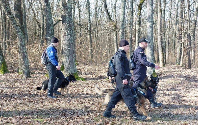 Mobilizare de forțe în Caraș Severin, în căutarea unui tânăr de 24 de ani, dispărut de trei zile