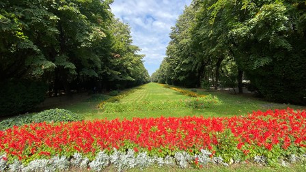 Se văd deja primele semne ale intervenției primarului Nicușor Dan în Parcul Cișmigiu