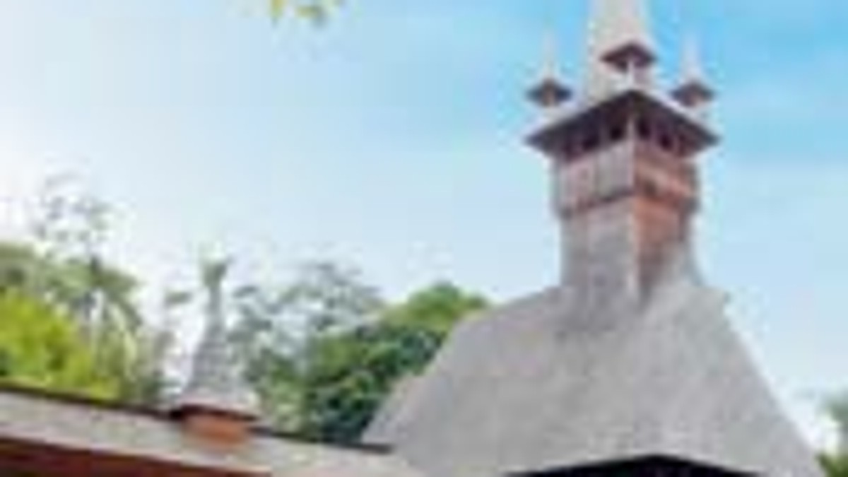 Arhiva foto