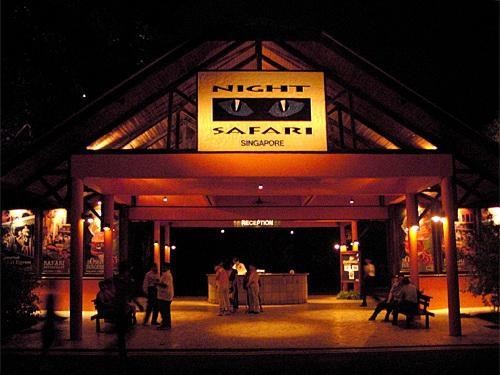 Night_Safaris