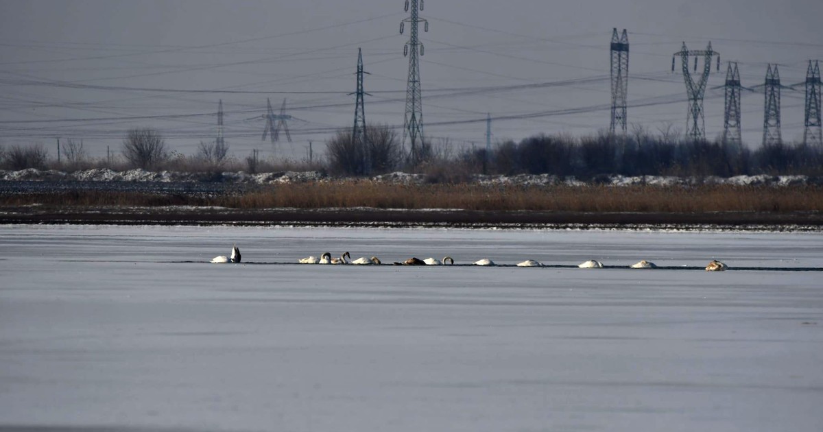 Lacul Sărat a înghețat bocnă.