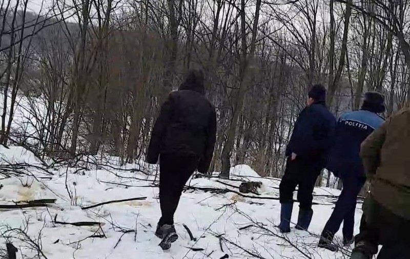 Un vrâncean a furat aproape o lună arbori din pădure fără să dea de bănuit. Bărbatul și-a confecționat un ciocan de marcat dintr-o monedă veche