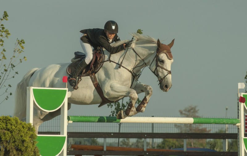 Grand Prix FEI CSI de la Salonul Calului adună la start călăreţi şi peste 100 de cai din mai multe ţări 