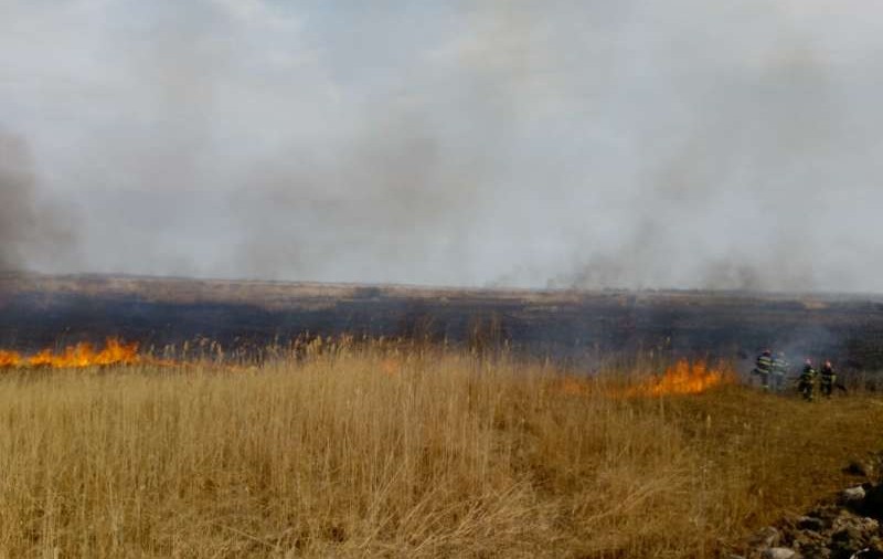 Incendiu în Tulcea: 40 de hectare de vegetație uscată și de stuf au ars în câteva ore