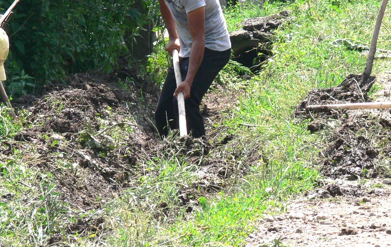 Un primar din Gorj nu mai dă ajutoare sociale dacă ”asistații” nu muncesc: “Avem șanțuri pline de buruieni, ne mănâncă șerpii”
