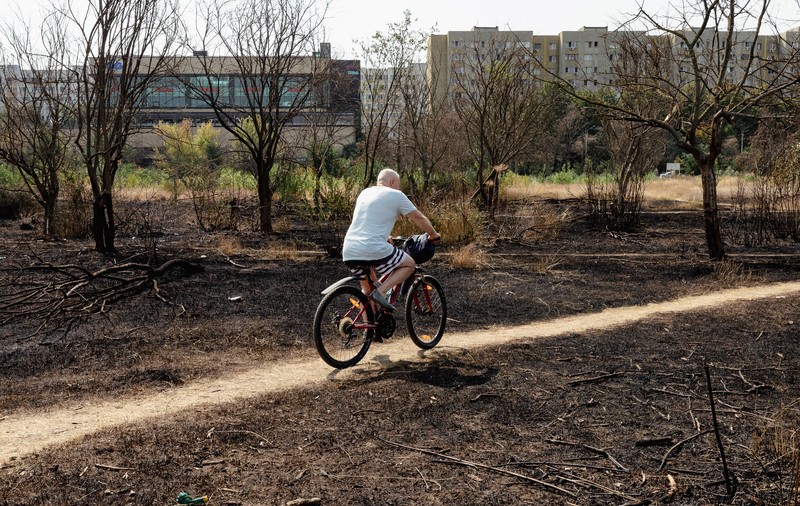 Revolta locuitorilor de lângă Parcul IOR care arde, iar copacii se usucă în mod misterios, sub ochii autorităților: „Ne credeți proști, domnule primar?”
