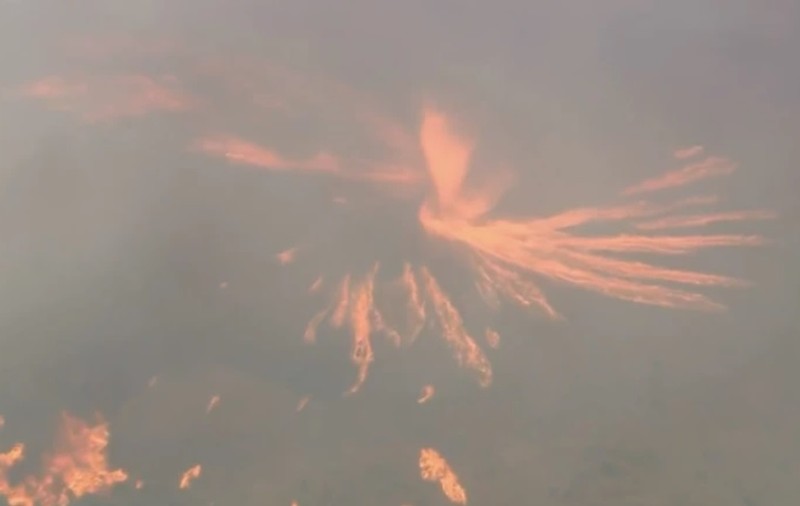O „tornadă de foc”, surprinsă la un incendiu de vegetație în Los Angeles