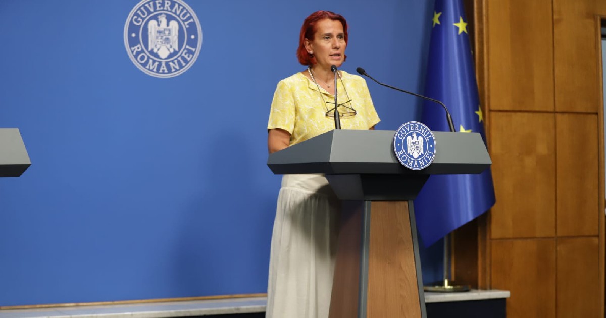 Ioana Ene Dogioiu la conferința de presă de la Guvern