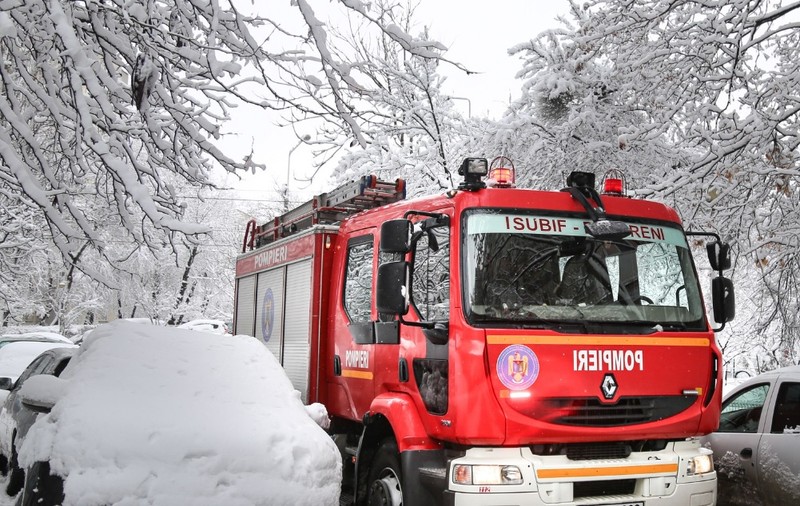Ninsoarea din Bucureşti a doborât 64 de copaci, iar 61 de maşini au fost avariate