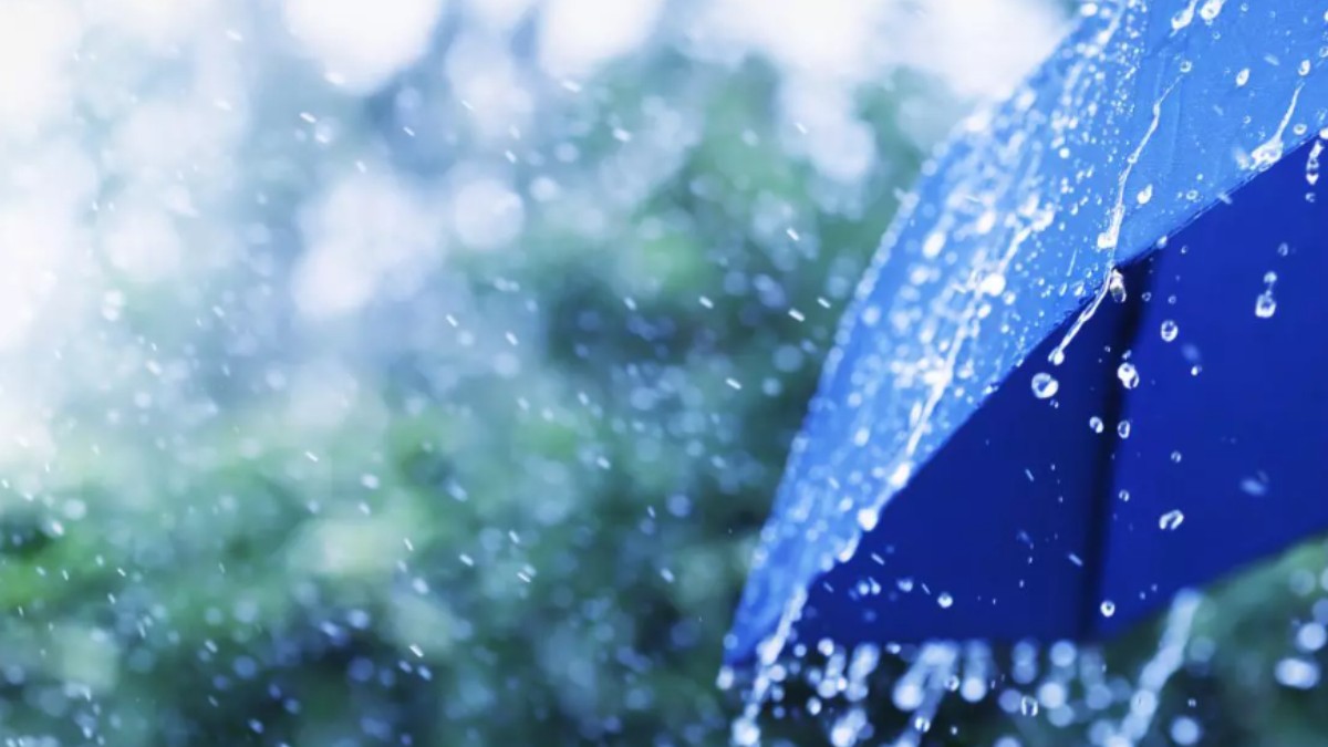 O umbrelă albastră în ploaie
