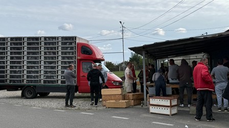 Concurs columbofil - Bănești, județul Prahova