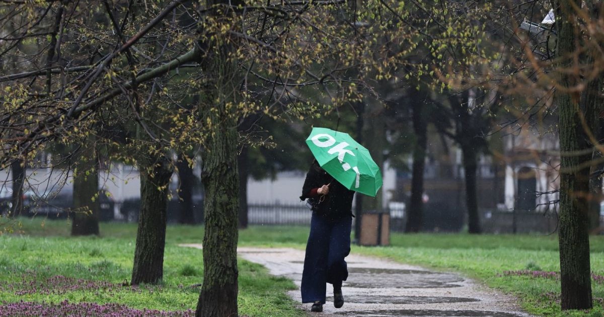 O femeie care are o umbrelă verde pe scrie OK merge pe o alee din parc, într-o zi cu ploaie, iar în jurul ei sunt copaci și iarbă pe jos, București, 3 aprilie 2026