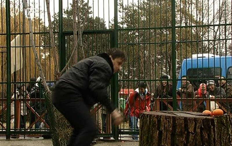 Claudiu Bleonţ, exponat de lux la Zoo! Află cum a ajuns să fie închis în cușcă!