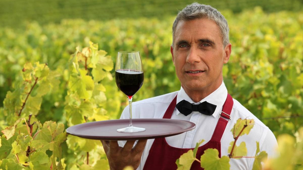 Sommelier in camasa alba, papion negru, sorț roșu, sta cu o tava in mana dreaptă, pe care este un pahar cu vin roșu, in mijlocul unei podgorii, este o zi însorită