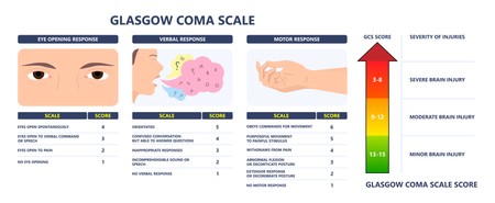 Scorul de comă Glasgow - Răspunsul ocular, Răspunsul verbal Răspunsul motor