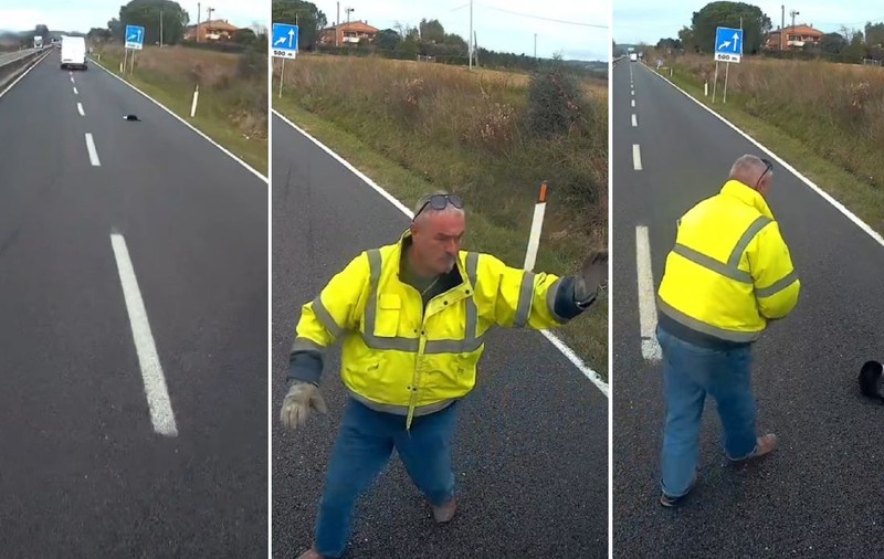Un șofer de TIR a blocat traficul ca să salveze un pisoi oprit în mijlocul drumului, în Italia: „Avea capul blocat într-o cutie de conserve”