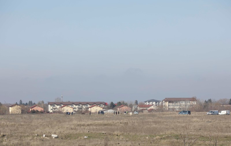 Primăria Sectorului 6 spune că femeia ucisă de câini a fost atacată pe un teren privat și că Primăria Capitalei este responsabilă de maidanezi