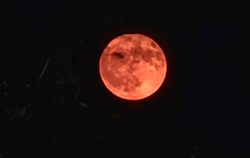 Cum s-a văzut „Luna Căpșună” pe cerul României. Imaginile impresionante din toată țara