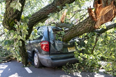 Mașină avariată de un copac în Queens, New York Foto: EPA