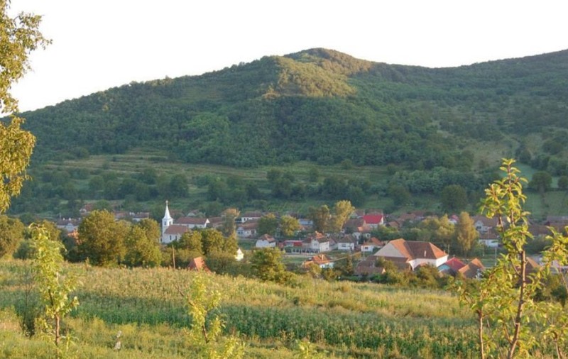 O comună din România cu 2.400 de locuitori a adunat datorii la bugetul de stat de 1.500.000 de euro