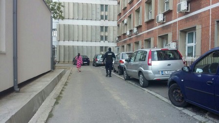 Arhiva foto