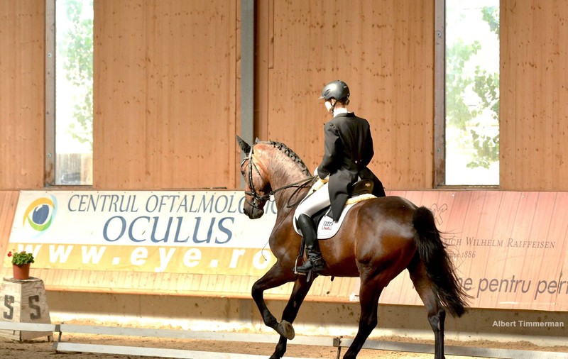 Prima “Clinică de Dresaj” din țară are loc la Clubul Equestria / GALERIE FOTO