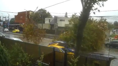 Momentul în care un copac este doborât de vânt pe o mașină aflată în mers, în București. Foto Captură video