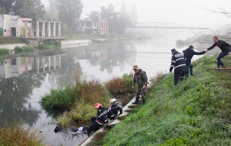 Un cioban a fost descoperit înecat într-o baltă din Timiș