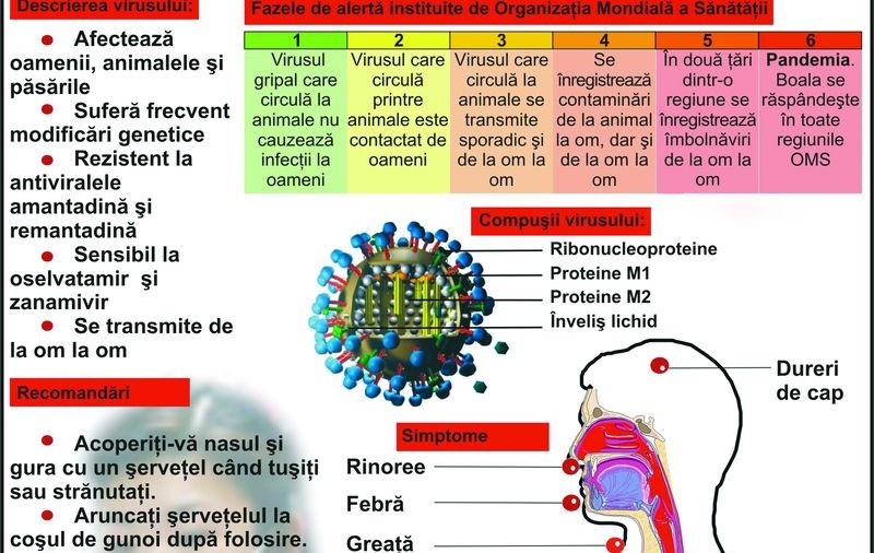 Un român din trei se va îmbolnăvi?