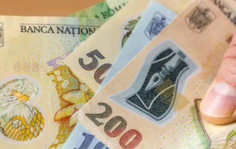 O persoană care ține în mână bancnote în lei