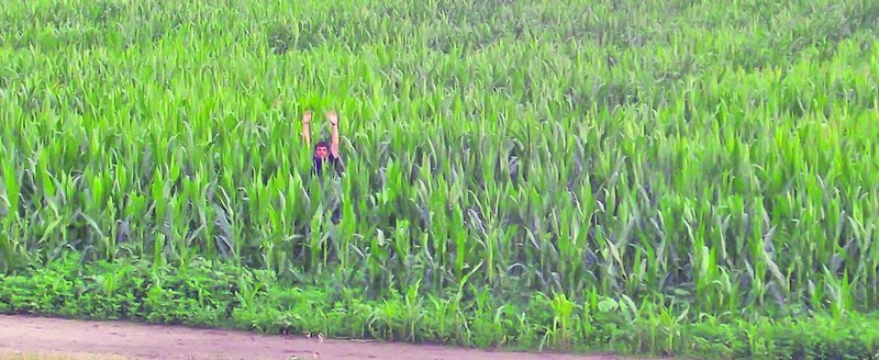Arhiva foto