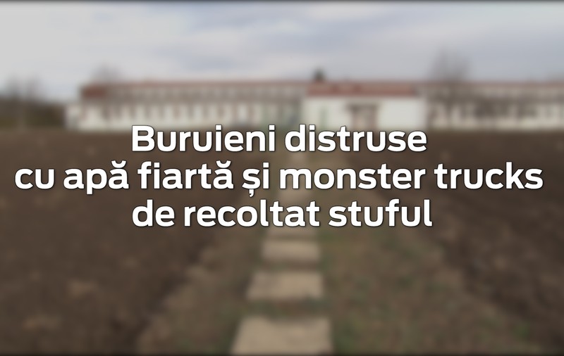 VIDEO/ Invenție românească. Tractorul care omoară buruienile cu apă chioară
