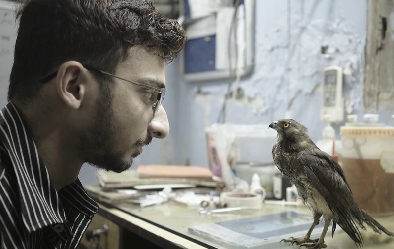 Un film de senzație al anului trecut se vede și în România. Despre gesturi care ne arată că nu e totul pierdut