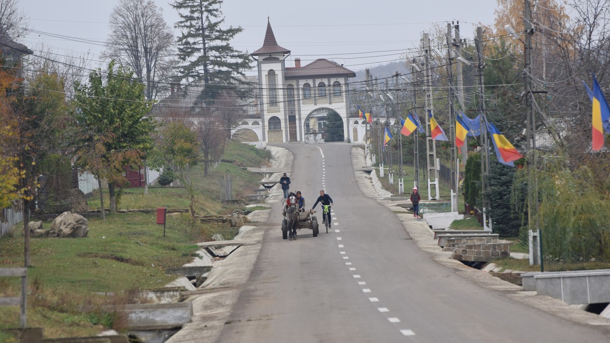 Arhiva foto