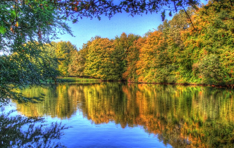 Vrei să găseşti un loc bun de relaxare? Iată unde se află cele mai tari parcuri din lume