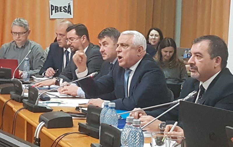 VIDEO | Petre Daea, dezlănţuit în Parlament: "V-a intrat cormoranul in cap? Românii mănâncă astăzi mai puţin peşte decât cormoranii. Nu dăm bani pentru cormorani!"