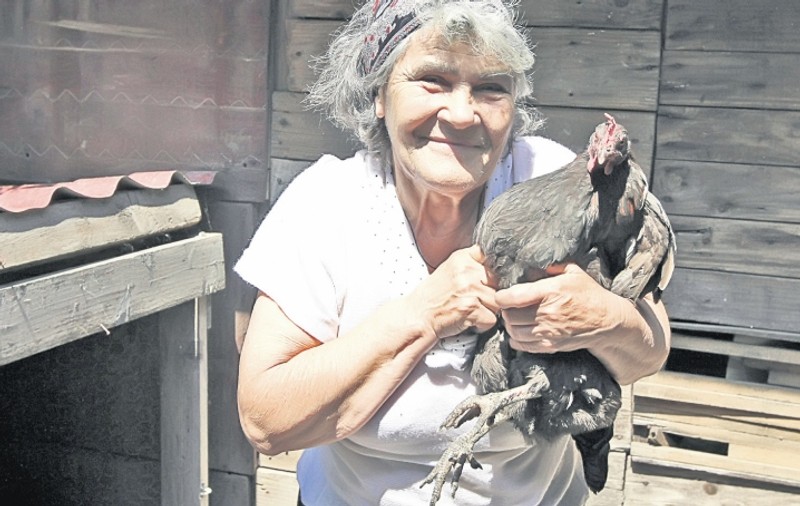 Oprescu vrea să scape de găinile din Bucureşti, fermierii se opun: «Nu îmi luaţi găinile»