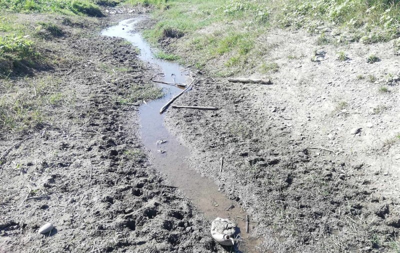 Peste 600 de localități din România primesc apă cu porția din cauza secetei. Care sunt cele mai afectate zone